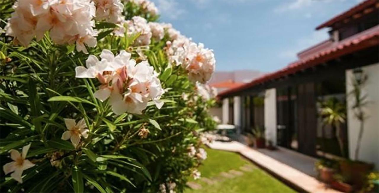Cancun Luxury Stella Maris Villa By The Sea Экстерьер фото